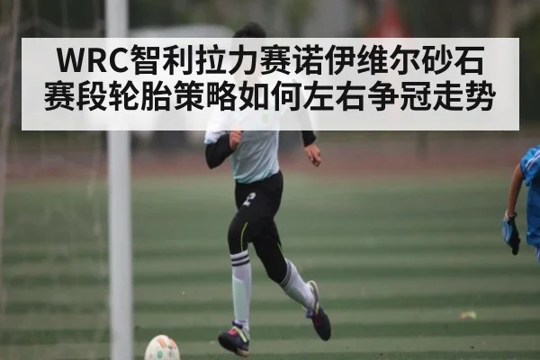 WRC智利拉力赛诺伊维尔砂石赛段轮胎策略如何左右争冠走势